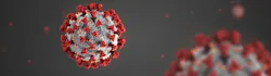 Coronavirus Coronavirus