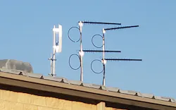 Picture1 5f5c5868db9df Picture1 5f5c5868db9df