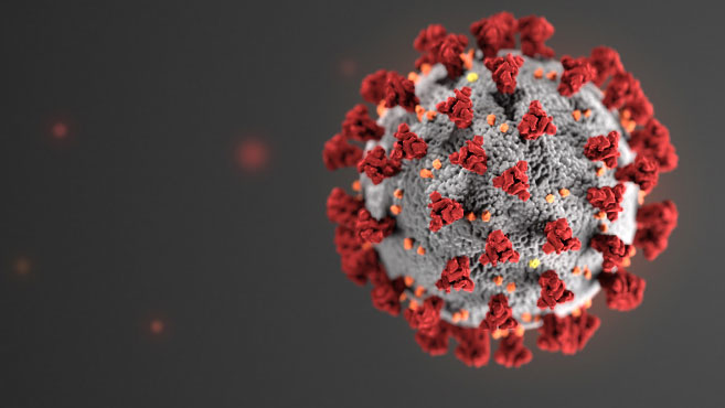 coronavirus