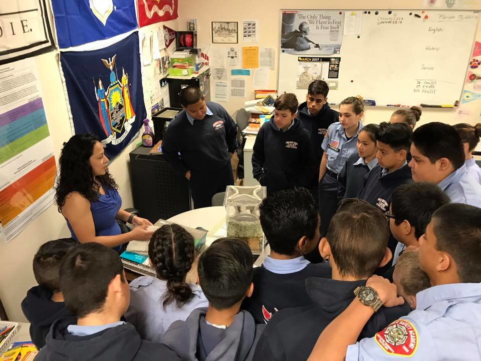 Uv Resources Psa Classroom