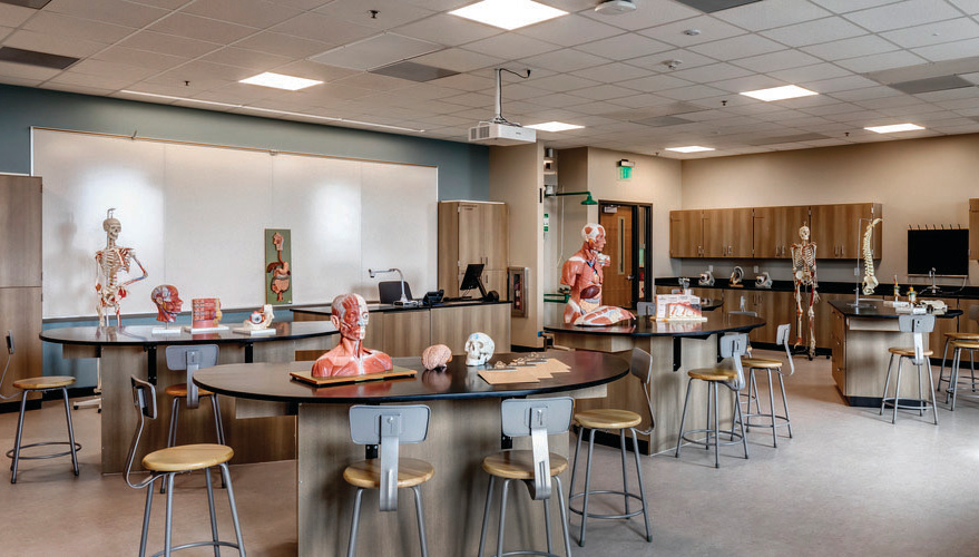 Delta Shb 6536b76378d3d