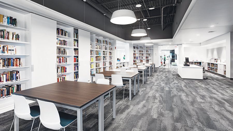 65723bcd0ed923001e0f32aa Webb Knox