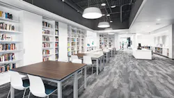 65723bcd0ed923001e0f32aa Webb Knox 65723bcd0ed923001e0f32aa Webb Knox