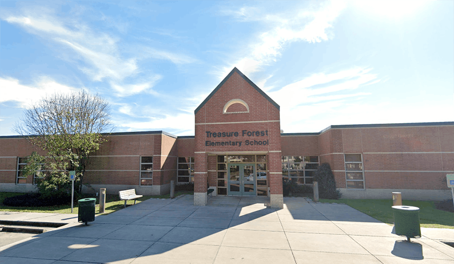 6578bceb28b1cd001e04669e Treasure Forest