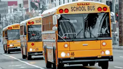 6679abdea85d1557cc25c951 Dreamstime Xxl 6370557 Edited 6679abdea85d1557cc25c951 Dreamstime Xxl 6370557 Edited