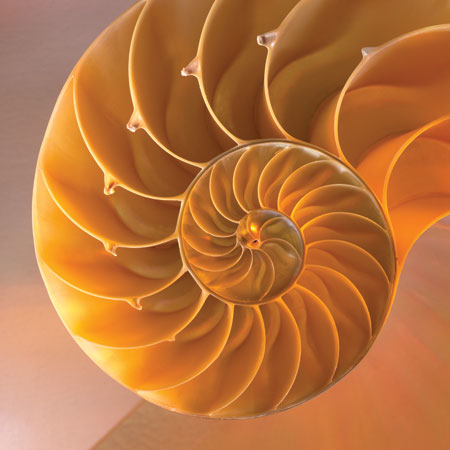 Aw 1734 1006 Entrprs