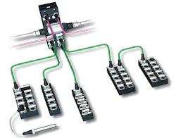 Aw 3546 0810 Murrinc Aw 3546 0810 Murrinc