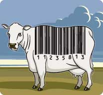 Aw 468 Per Industries06