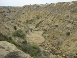 The pilot program had to handle the challenges of difficult terrain. The pilot program had to handle the challenges of difficult terrain.