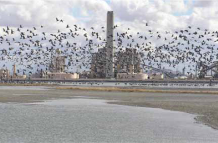 AEPCO plant operations consist of 60 employees working 24/7. Photos source: GE Intelligent Platforms