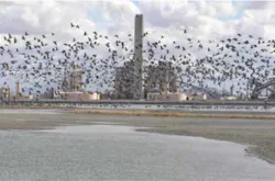 AEPCO plant operations consist of 60 employees working 24/7. Photos source: GE Intelligent Platforms AEPCO plant operations consist of 60 employees working 24/7. Photos source: GE Intelligent Platforms