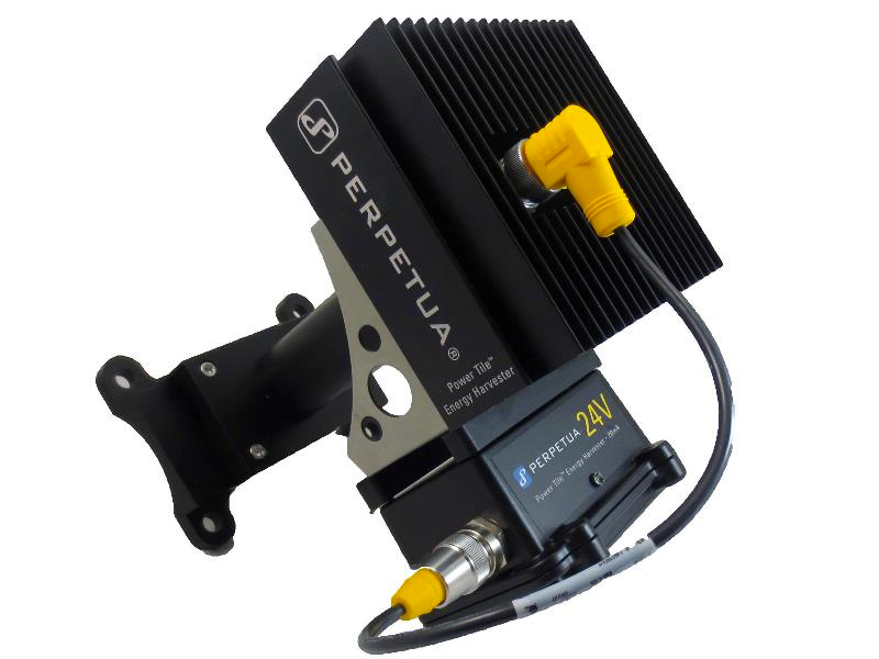 Aw 18784 1310np Perpetua