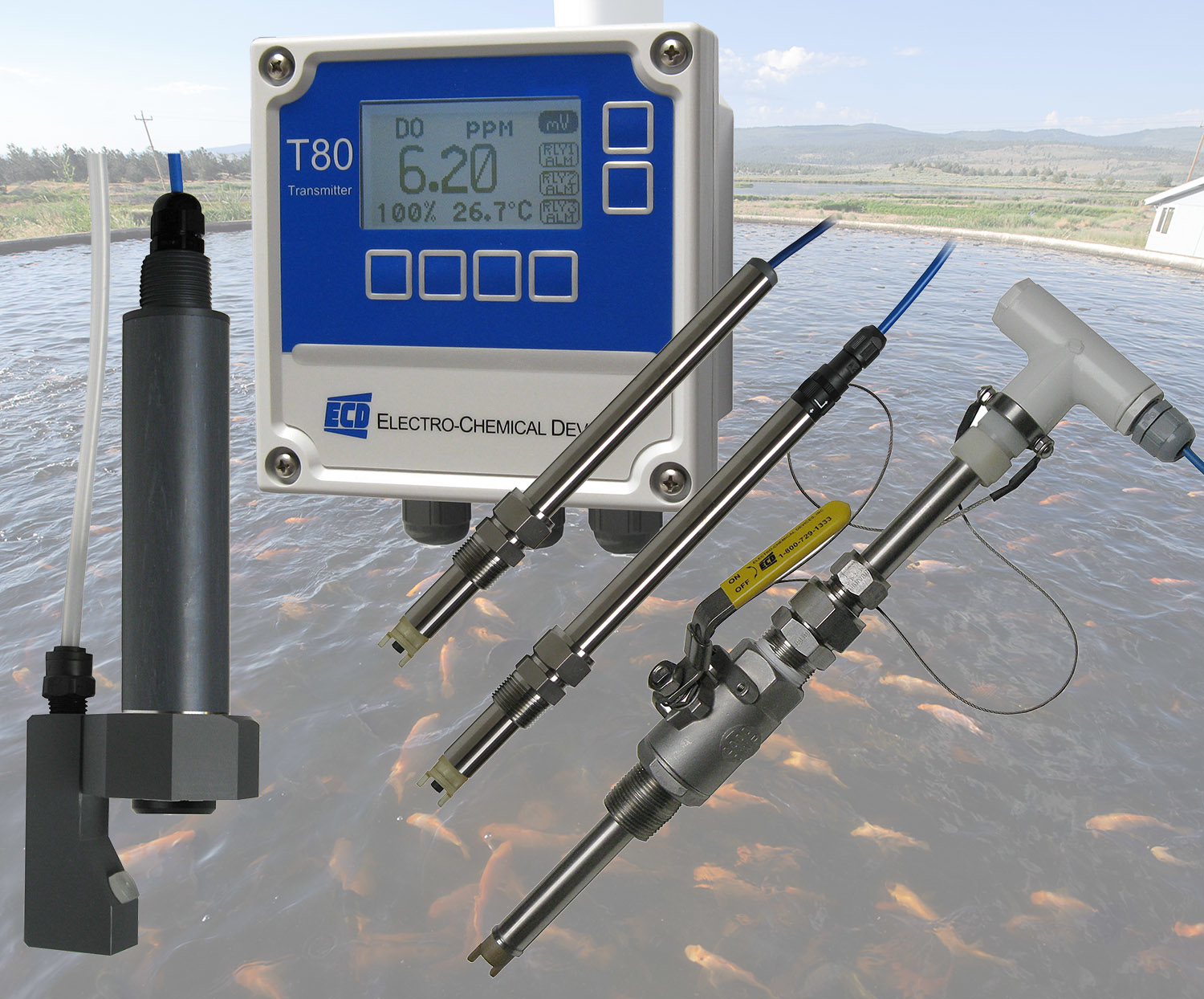 Aw 70931 Ecd T80 Aquaculture Hi