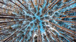 Industrial Ethernet at the Edge Industrial Ethernet at the Edge