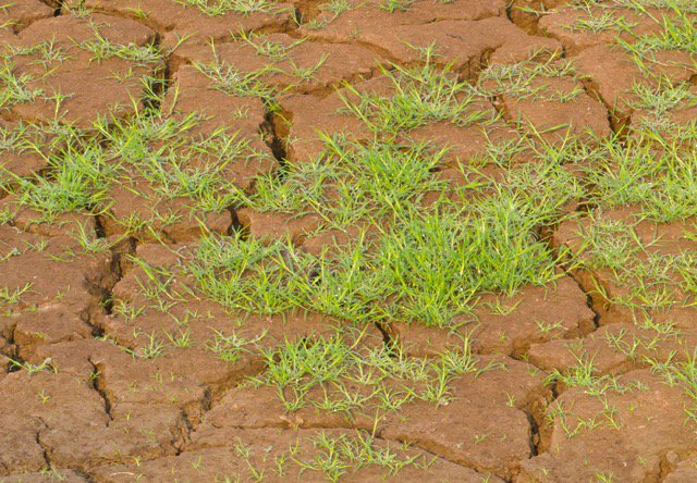 Creating the Digital Future in Brownfield Plants