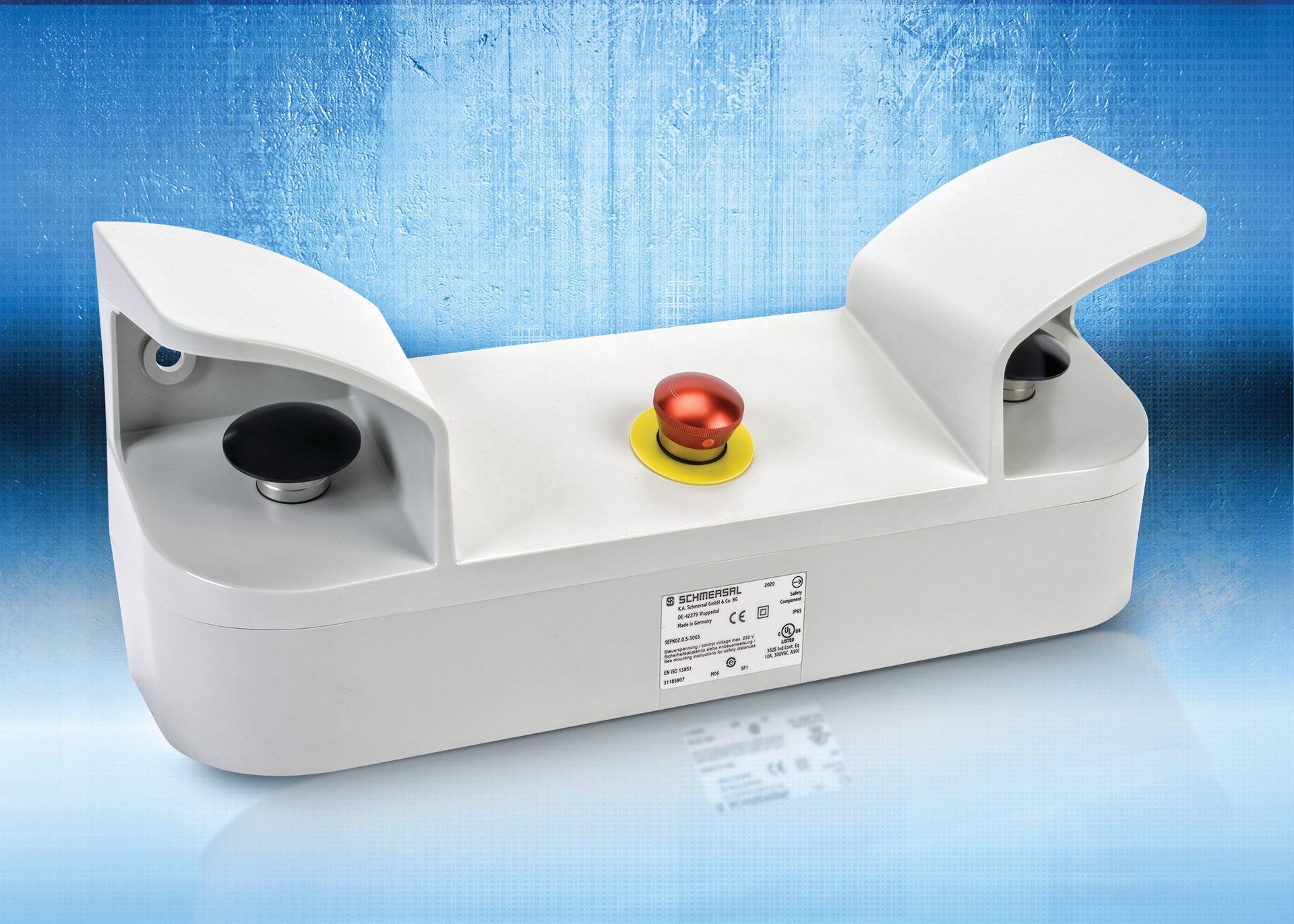 Schmersal Two Hand Control 5x7