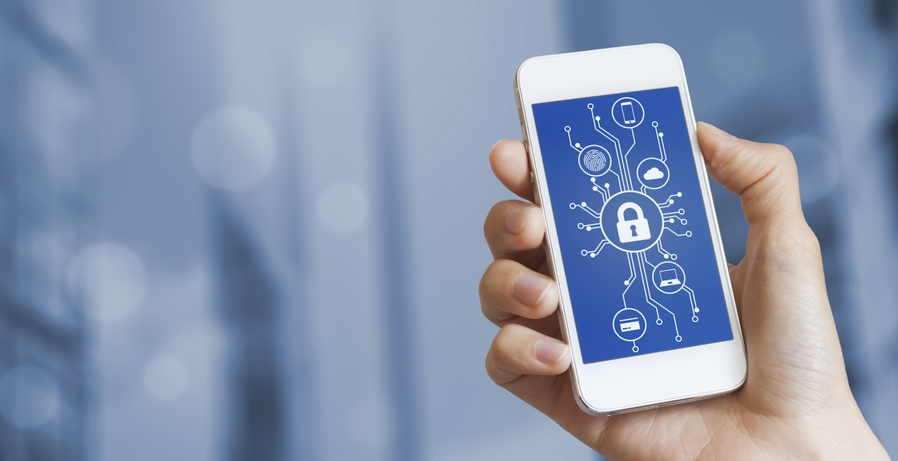 Dreamstime L 219609083