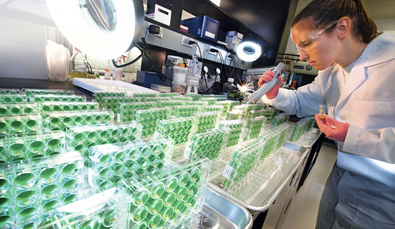 66589940b7afa429242297ac Screenshot 20240529 At 11