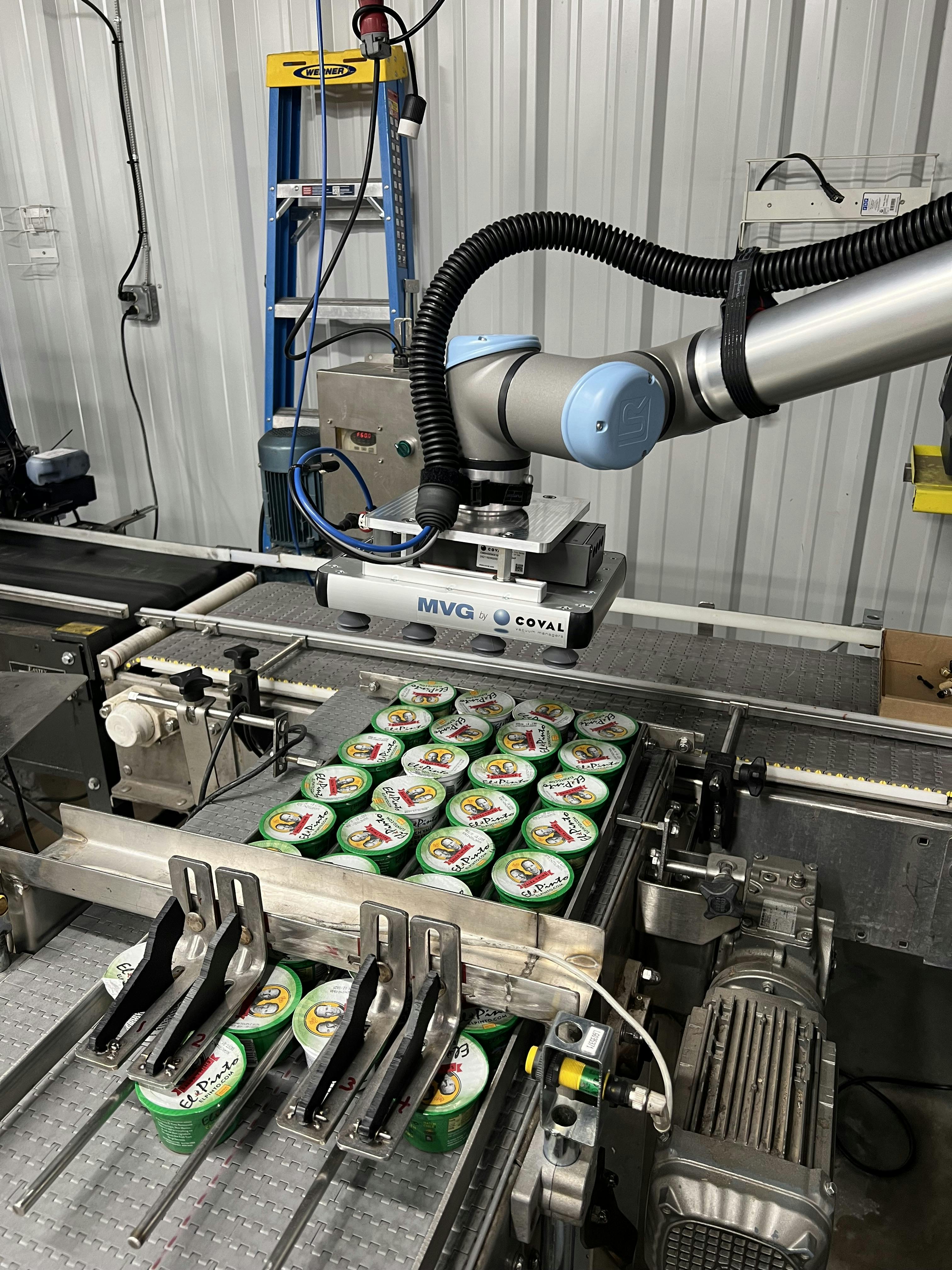 The UR10e robot at El Pinto, equipped with a custom Coval vacuum gripper, testing the alignment and suction of 12 single-serve cups.