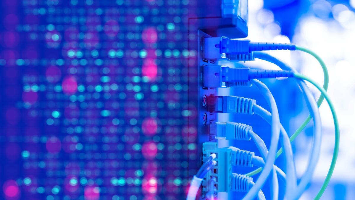 672257a85b19cd22f3a8f6b2 Shutterstock 2270659223