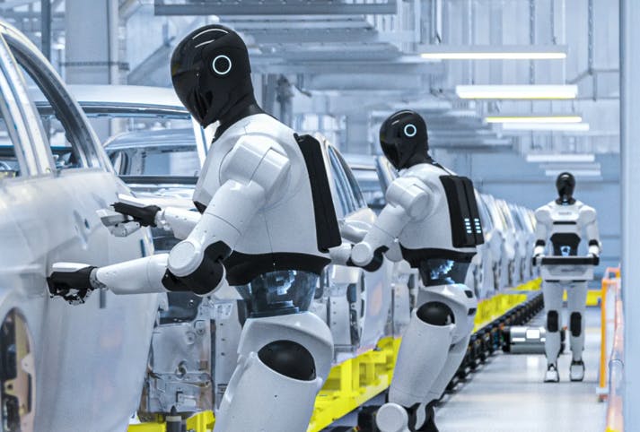 692092924fc6c8332fc66697 Schaefflerneura