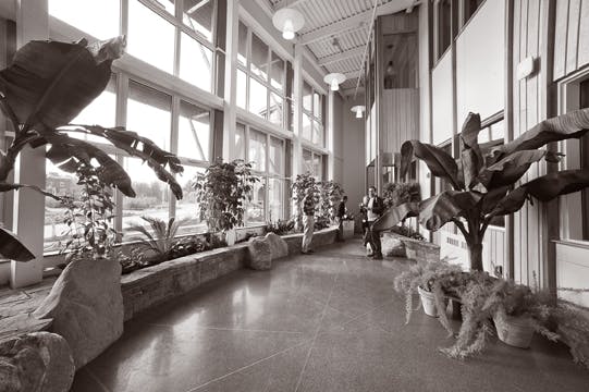 Triple-pane windows provide natural light to significantly reduce electricity use at the renovated George D. Aiken Center at the