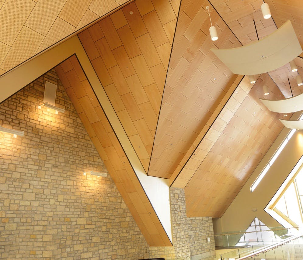 66fb0e9a691396adb24b9472 Soundseal Trinity20copy