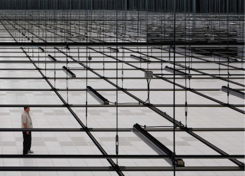 66fb0eda1bbf3cdf28541d62 Data