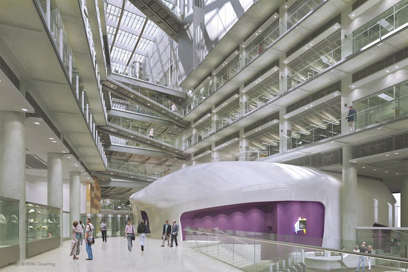 66fb0edc816f26b5fdc396a8 Hok2020glowfrog Francis20crick Reception20copy