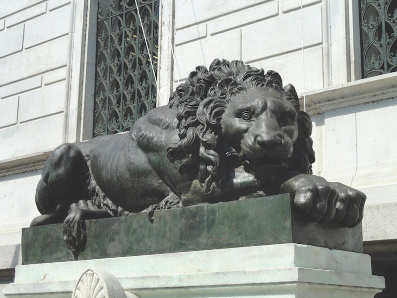 66fb0ee62ac3a5ca3c198244 Lion Corcoran Gallery Of Art Dsc010522020public2