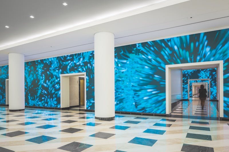 66fb0ef36913963bfe4b955a Terrell Place 2