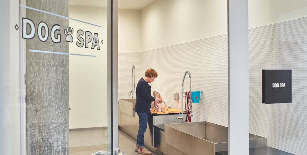 The 240-sf dog spa at Seattle&rsquo;s AMLI Arc apartment tower, photo by Benjamin Benschneider