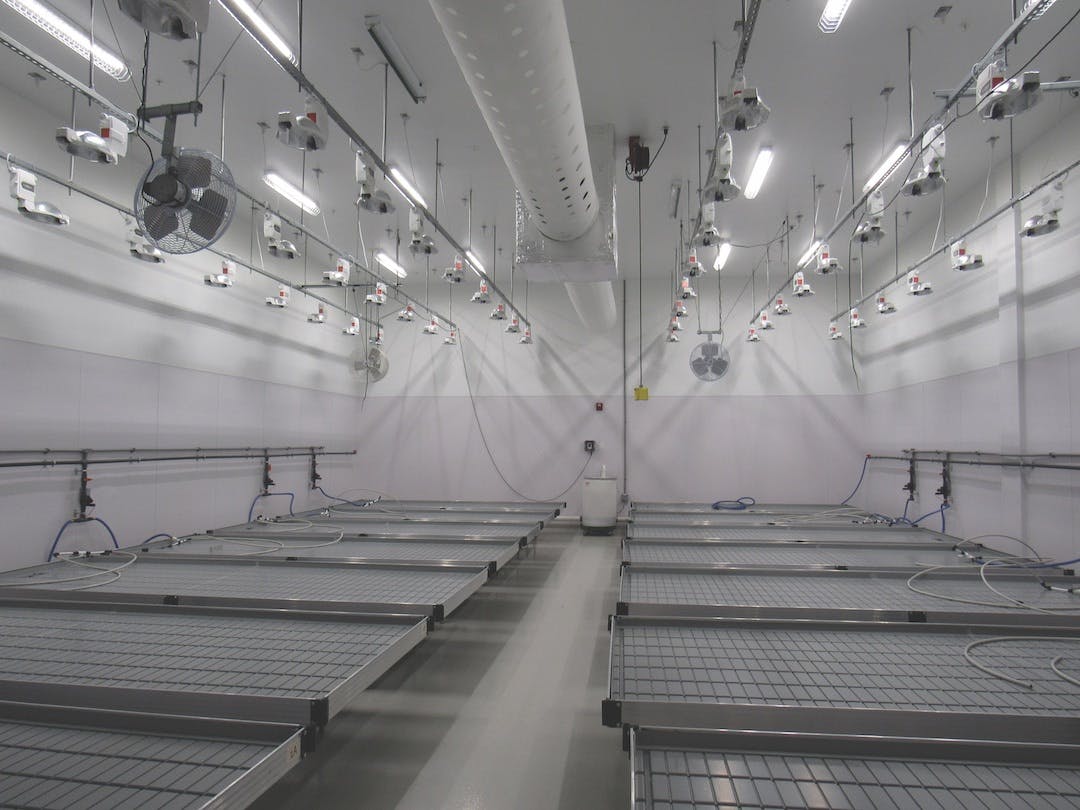 66fb0f1d1a3f597337d4f35f 5 5