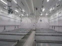 66fb0f1d1a3f597337d4f35f 5 5 66fb0f1d1a3f597337d4f35f 5 5