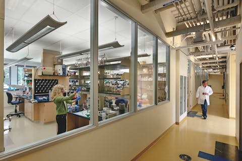 66fb10eb1a3f59312fd4f547 Cell