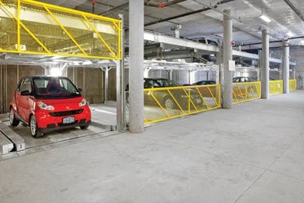 66fb10f5816f261d74c398fd Paw Harding