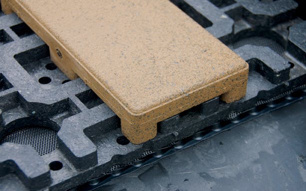 66fb10fe52301818ca075881 Paw Firestone