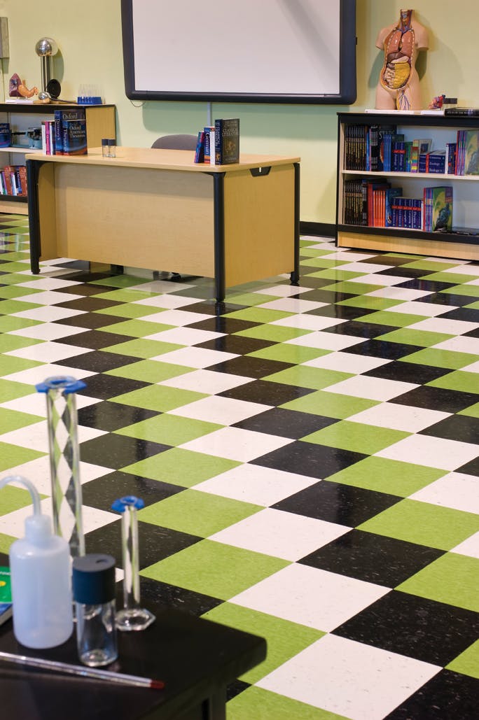 66fb10fe816f269f85c39914 Paw Armstrong