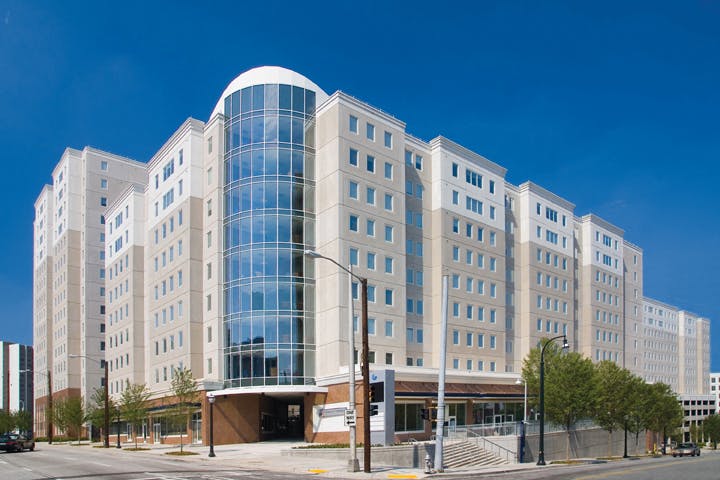 66fb110c36955535e1420d03 Paw Carboncast