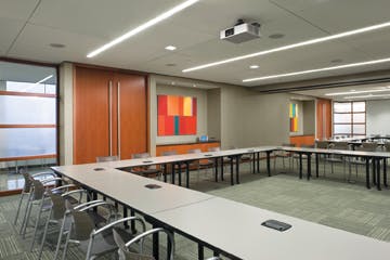 66fb110d816f266549c39938 Paw Certainteed