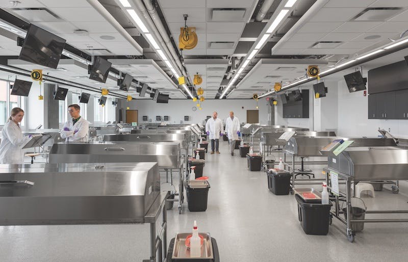 66fb129a691396ca284b9a10 Slide2052020anatomy20cadaver20room20copy