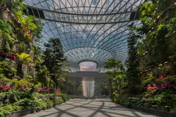 How engineering giant Buro Happold democratizes tech innovation, Jewel Changi Airport project How engineering giant Buro Happold democratizes tech innovation, Jewel Changi Airport project