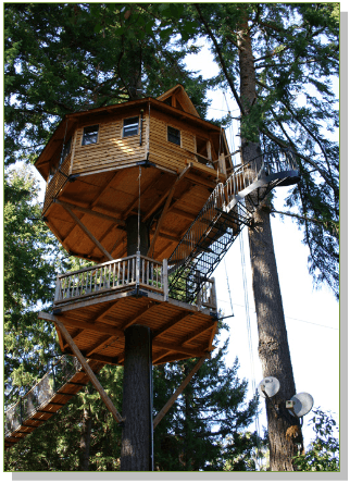 66fb13912ac3a5a8a4198970 Image