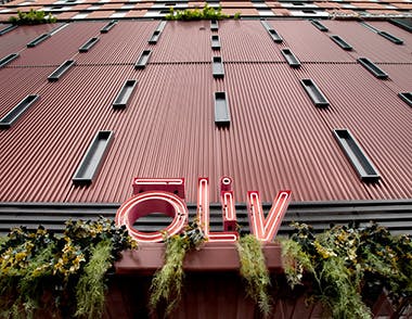 66fb13b82ac3a528ab1989b4 Metalwallpachlm1olivtext20ad