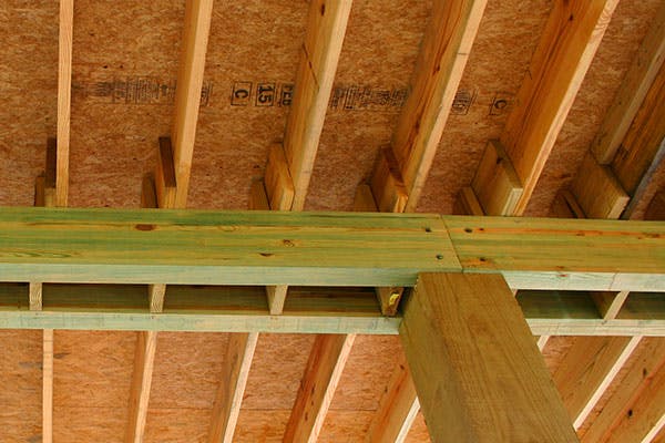 66fb15d2783cc96f8ad7fea2 Lonesurvivor600x400