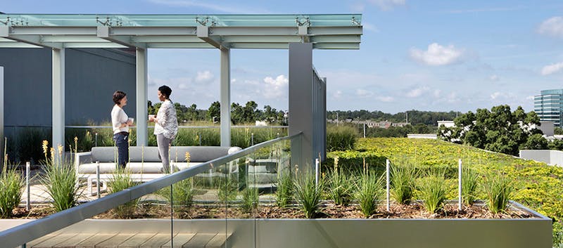 66fb15df783cc9094ed7fec7 Green