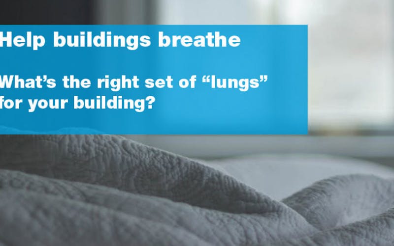 66fb15e2816f26ea66c39f3c Paladino Main