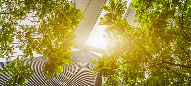 66fb15e41a3f5972ccd4fb7f Firmgrowth 0