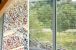 66fb15f469139672044b9dd3 Birds Main 66fb15f469139672044b9dd3 Birds Main