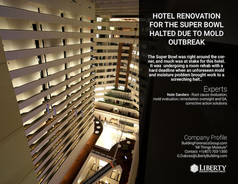 66fb15f469139689a34b9dd2 Hotel20renovation20for20super20bowl20image1